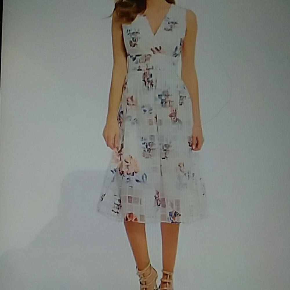Ivanka Trump Floral Print Organza Midi Dress